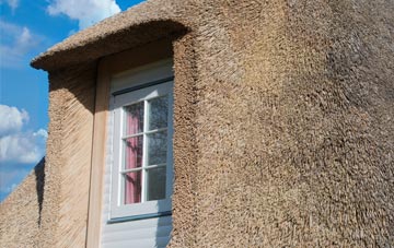 Felinfach thatch roof disadvantages