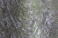 Felinfach fibreglass roof work